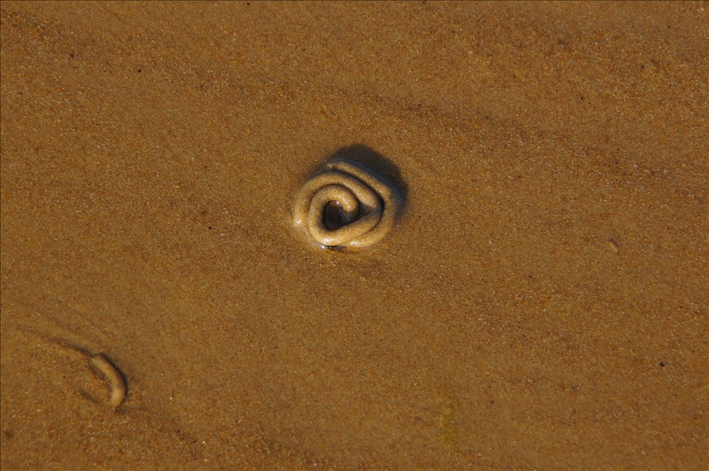 DSC01766.JPG