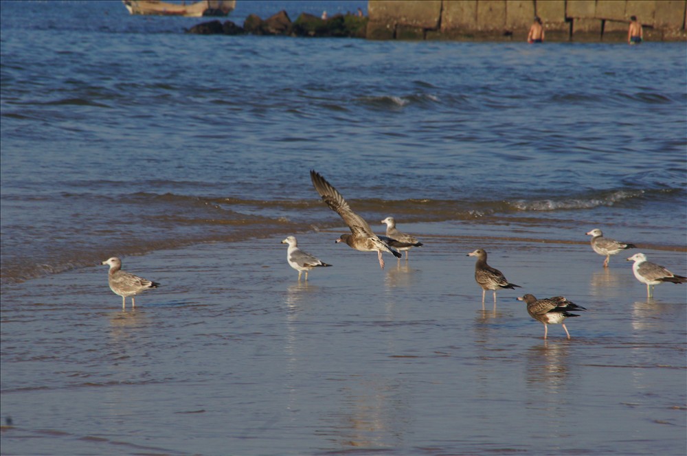 DSC01775.JPG