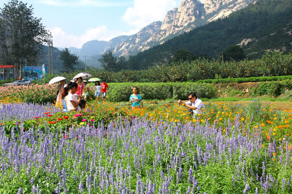 烟霞洞赏花 083-02.jpg
