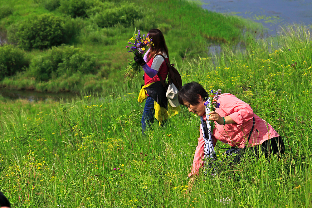 _MG_2660.JPG