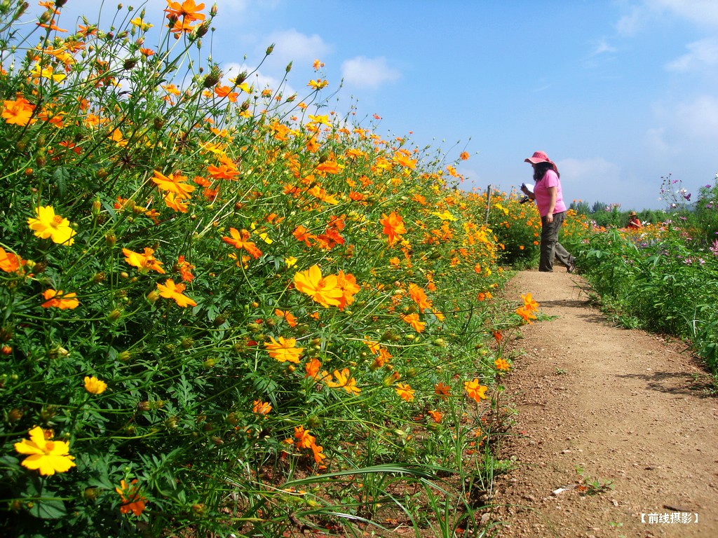 DSC01117昆嵛山赏花.jpg