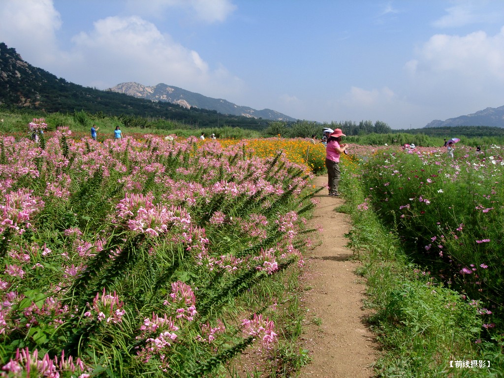 DSC01119昆嵛山赏花.jpg