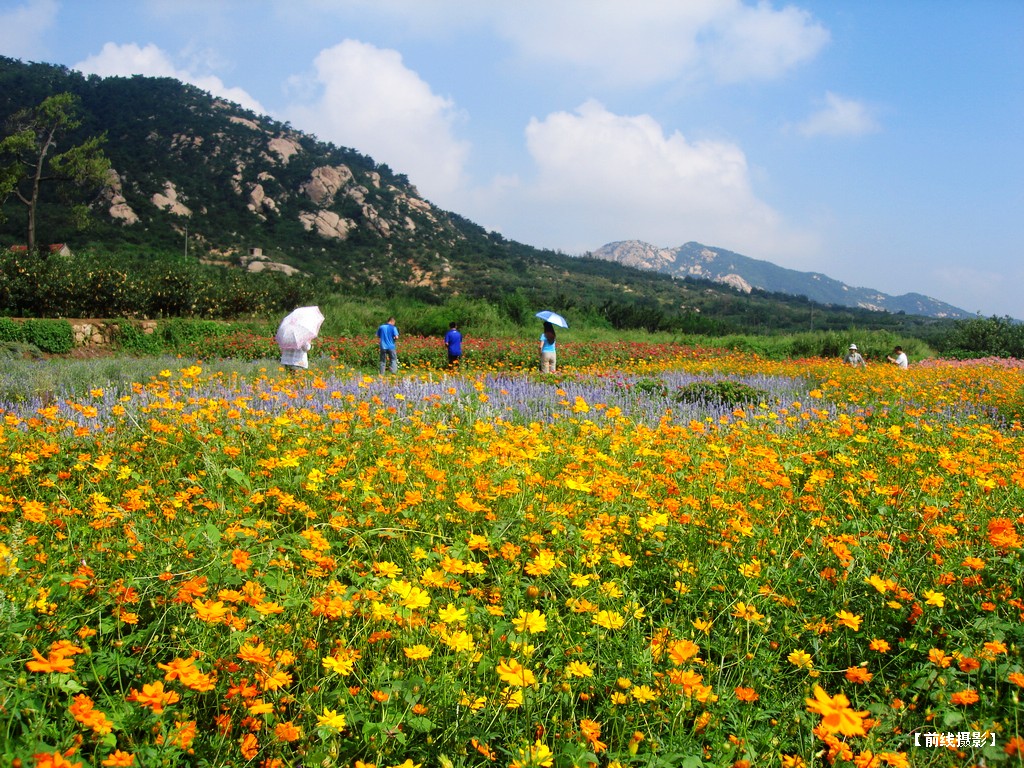 DSC01124昆嵛山赏花.jpg