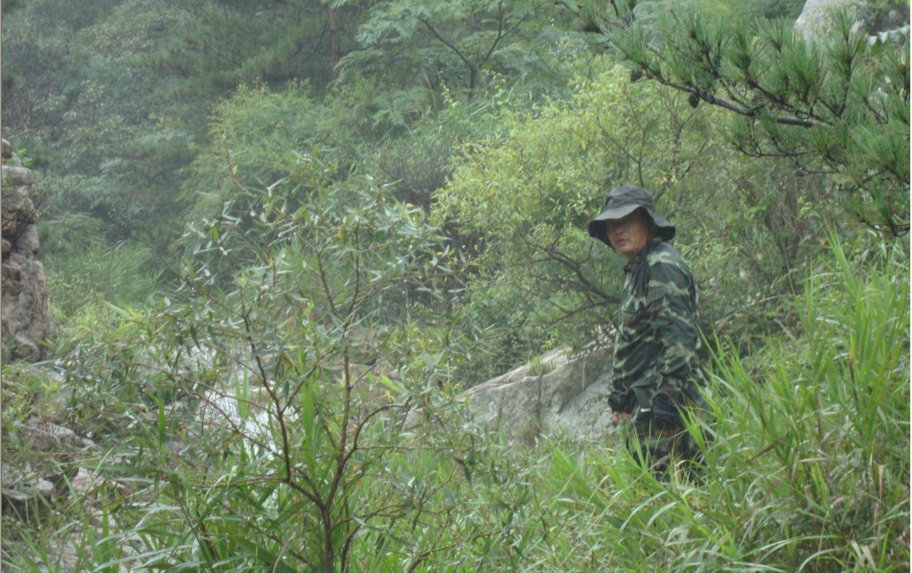 深林虎哥-2.jpg