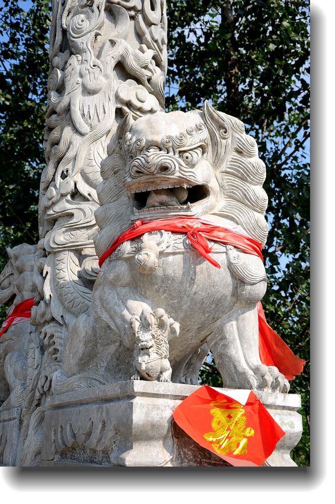 DSC_2626.jpg