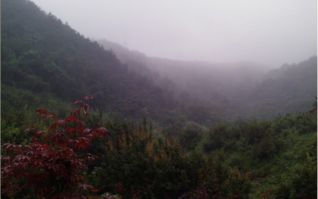 雨潇潇，烟霏霏，细水愁雾锁南山-1.jpg