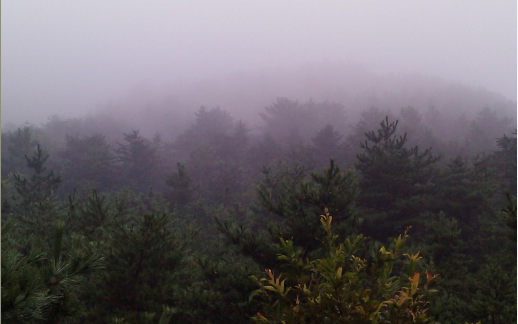 雨潇潇，烟霏霏，细水愁雾锁南山-2.jpg
