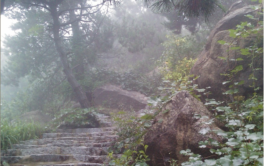 雨潇潇，烟霏霏，细水愁雾锁南山-7.jpg