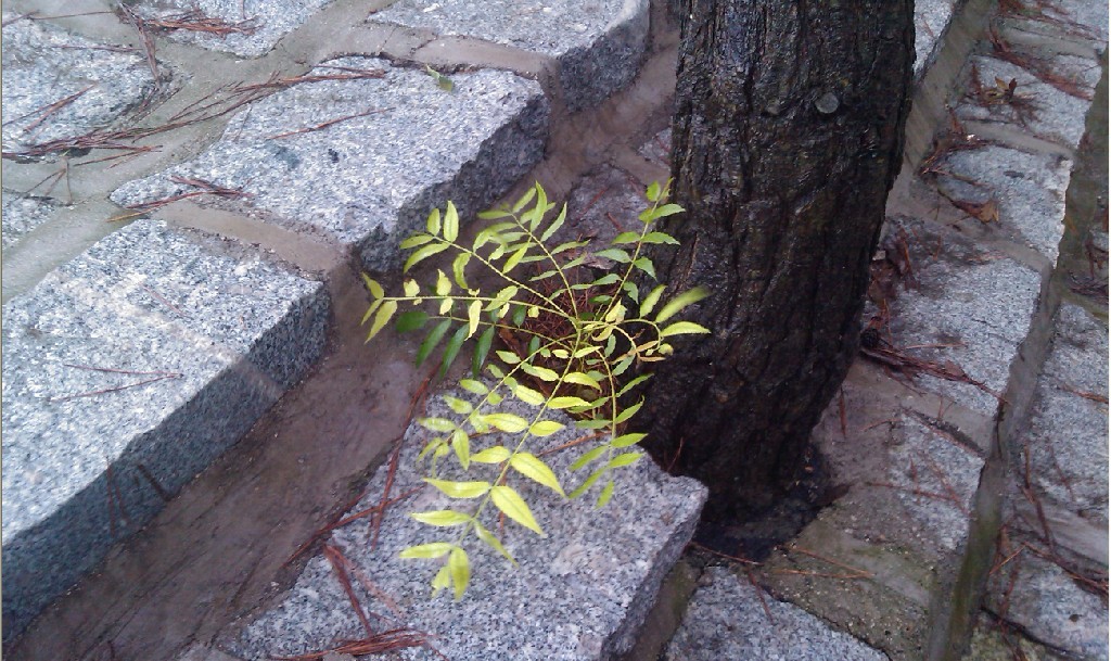 草沐潇雨-3.jpg