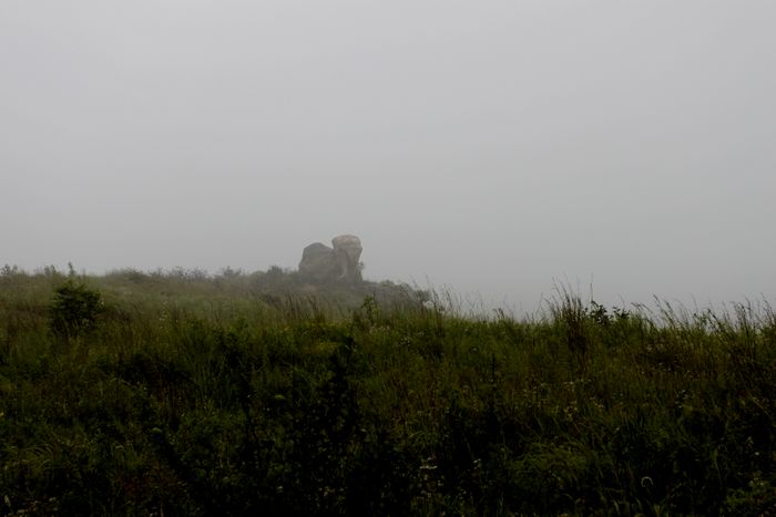 _MG_2979.JPG