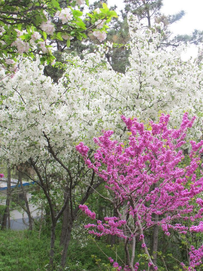 IMG_1176.JPG