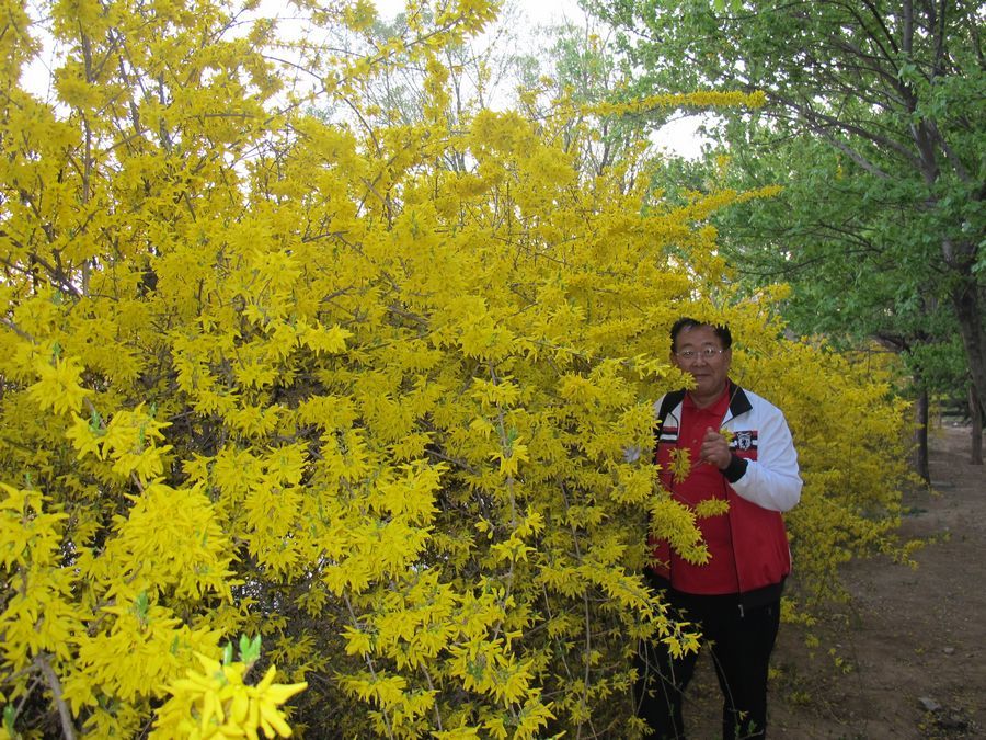 IMG_0931.JPG