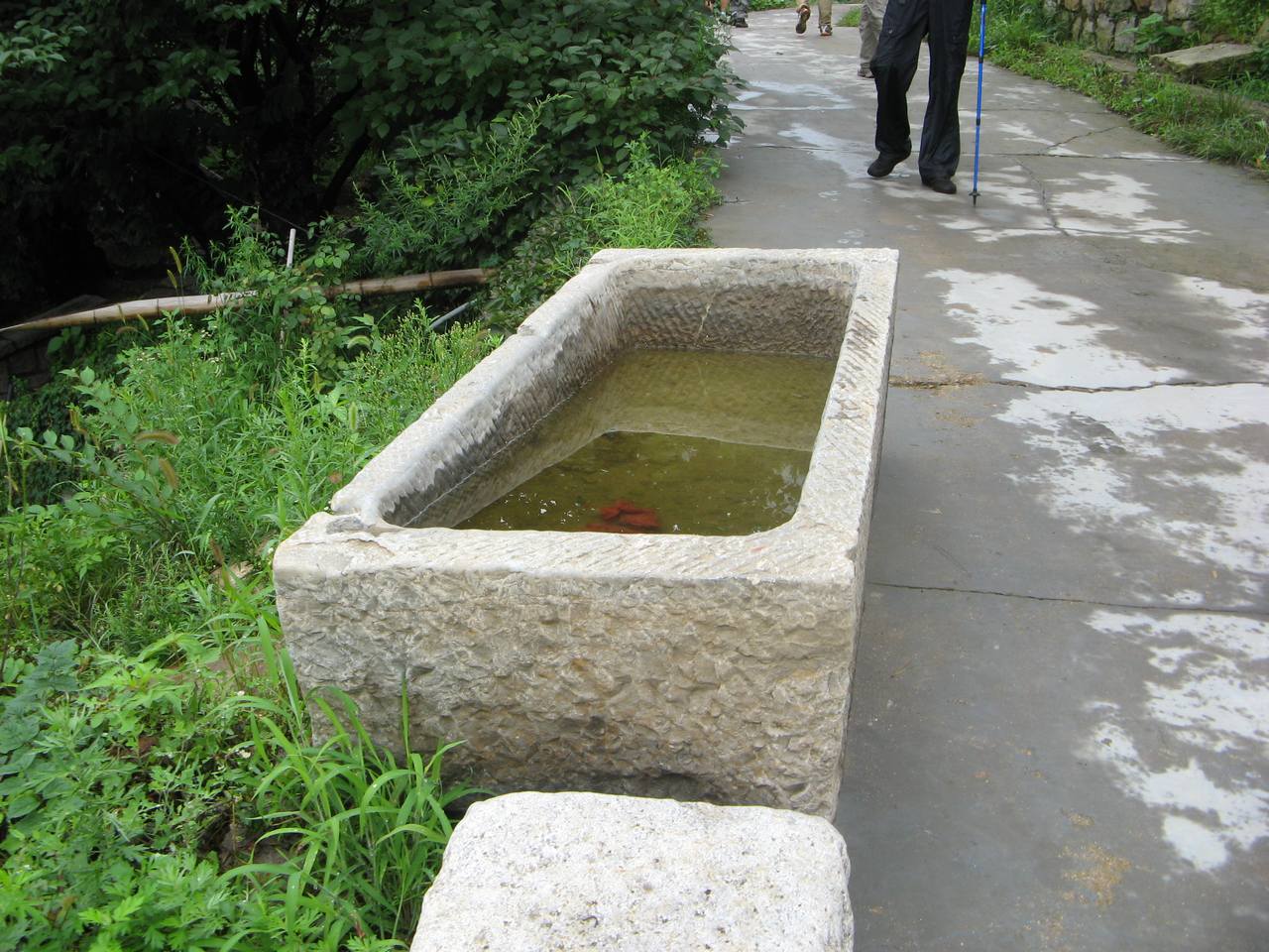 崂山驴 (1).JPG