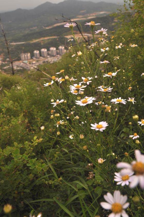 今天，我们驴在磁山（2012，8，25） 212.jpg