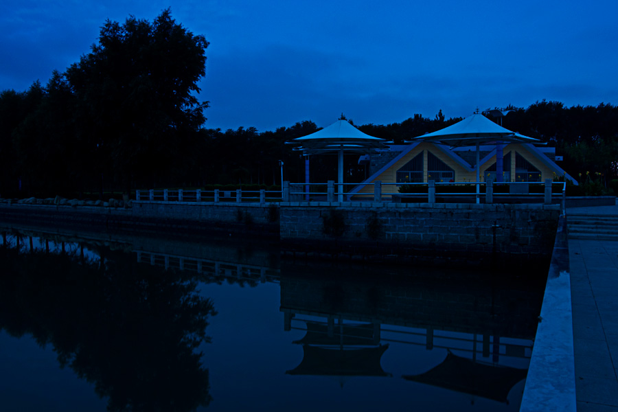 DSC_2549-1-.jpg