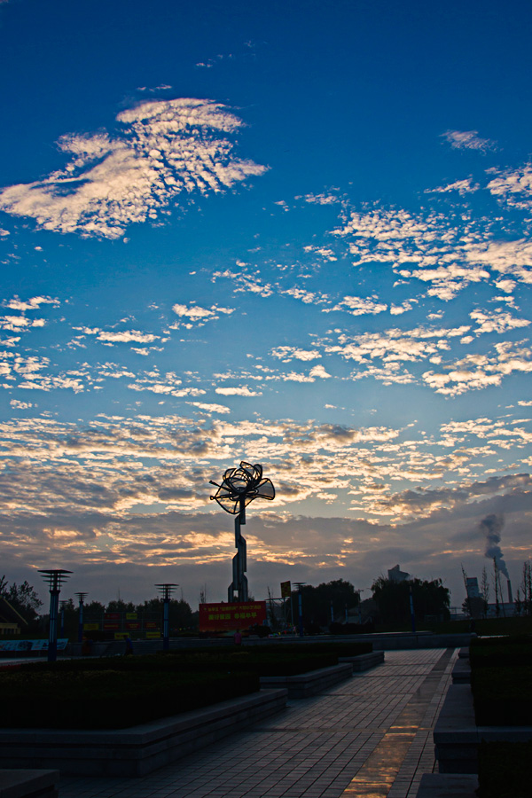 DSC_2575-1-.jpg