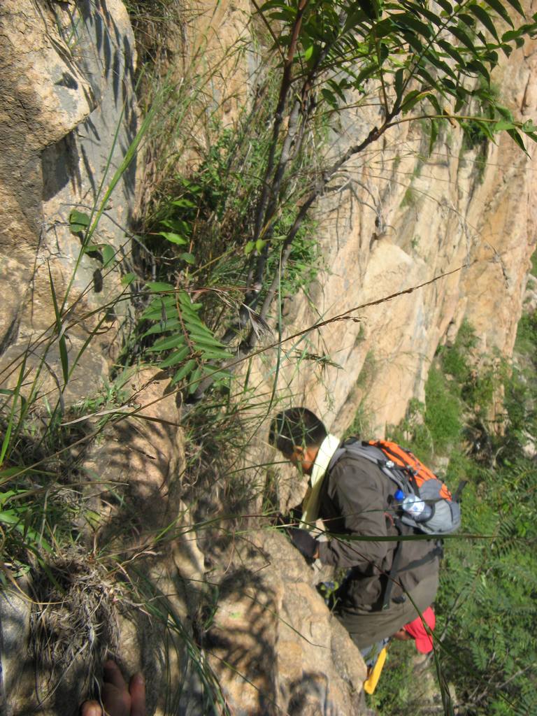 IMG_0793.jpg