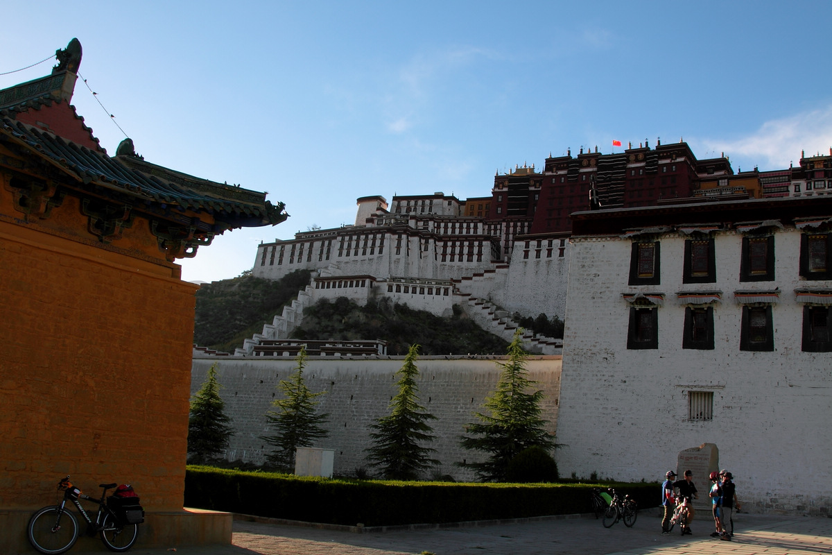 IMG_2211.jpg