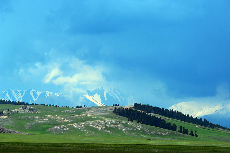 12-8e-09.jpg