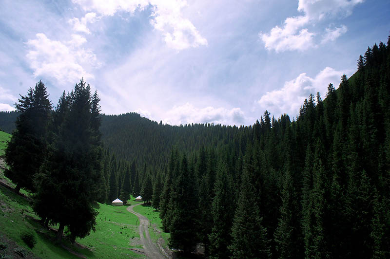 12-8f-02.jpg
