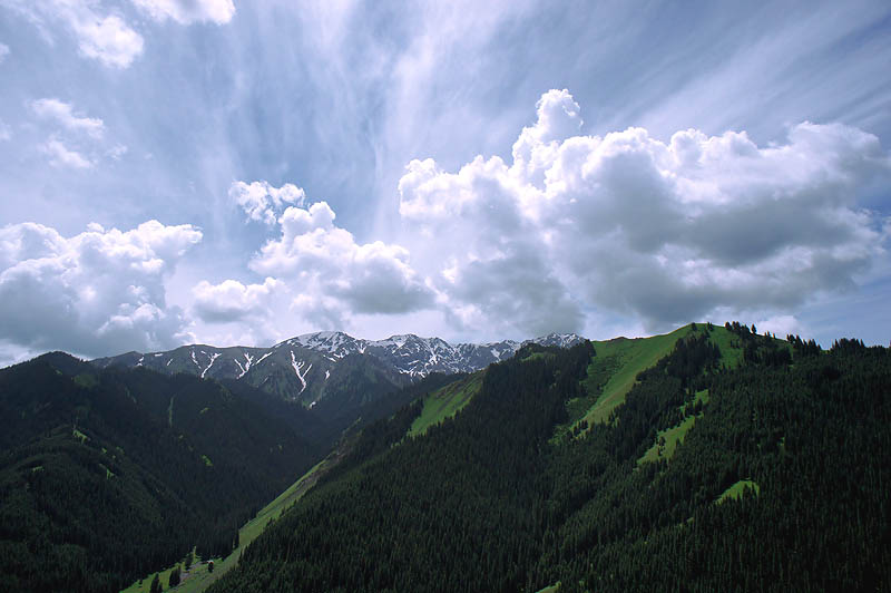 12-8f-04.jpg