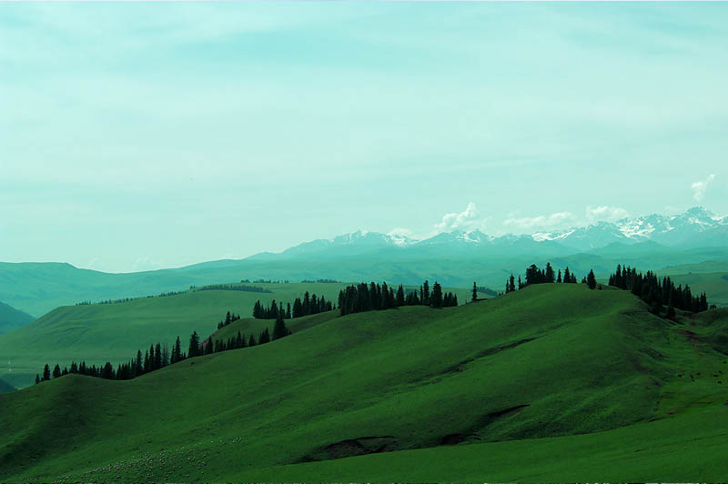 12-8g-04.jpg