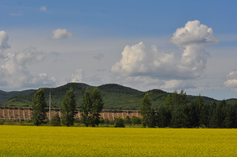 DSC_0365.jpg