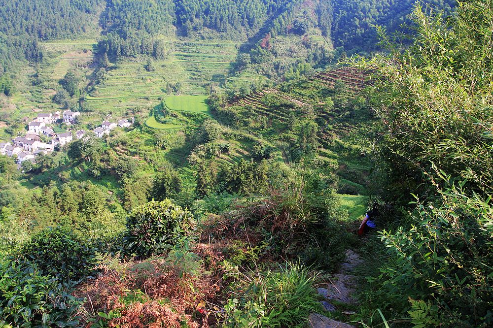 上山的路