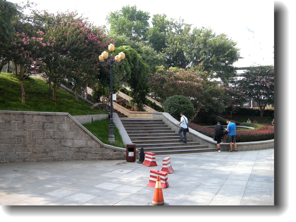 DSCN6704.jpg