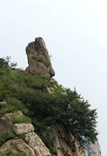 神首.jpg