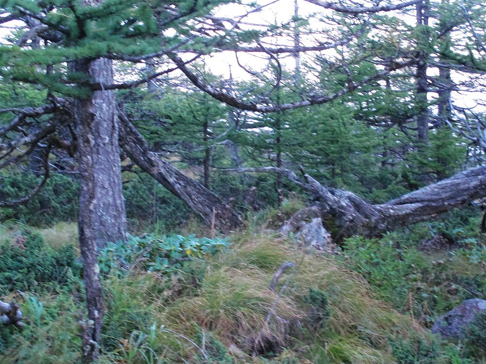 IMG_9781.jpg