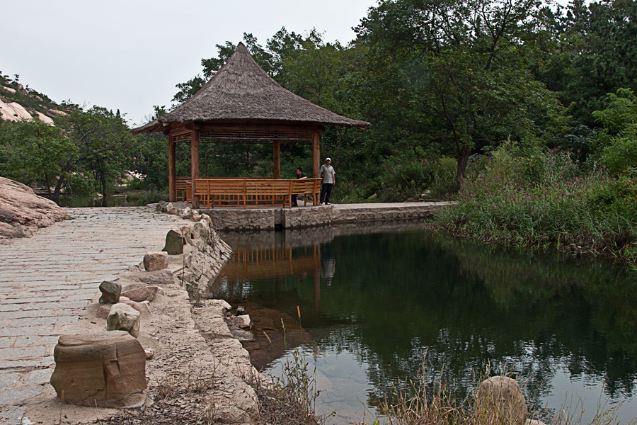DSC_3315.jpg