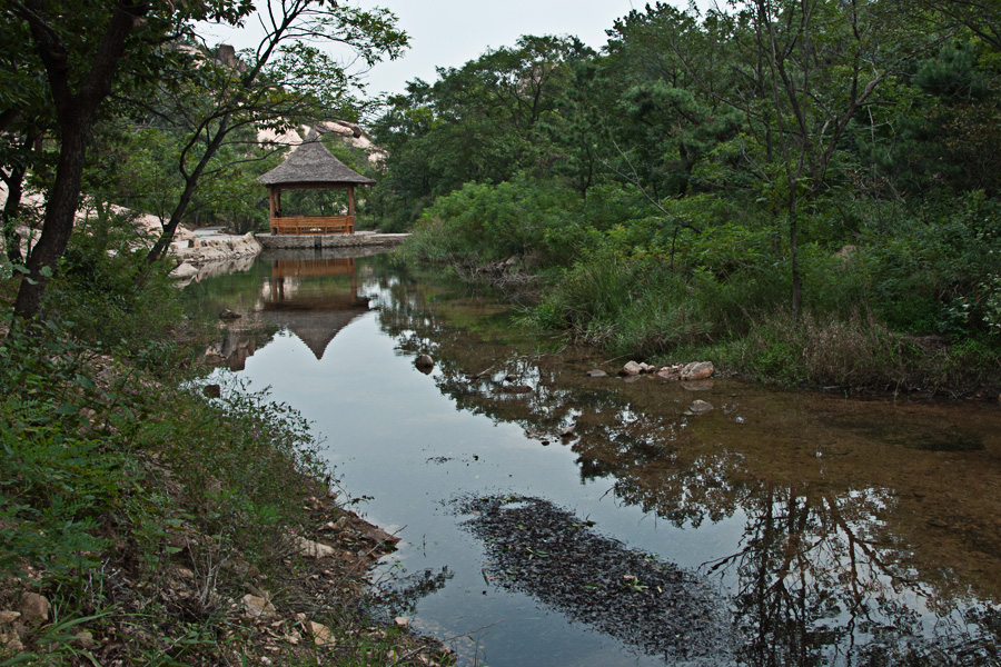 DSC_3314.jpg