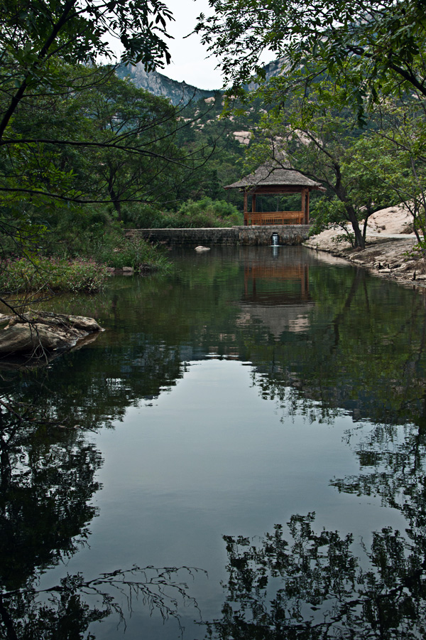 DSC_3321.jpg