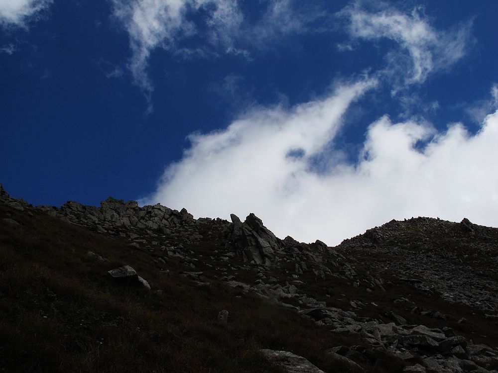IMG_9901.jpg