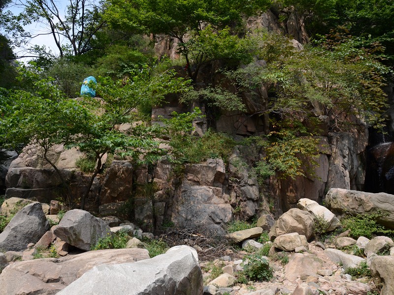 PhotoCap_062.jpg
