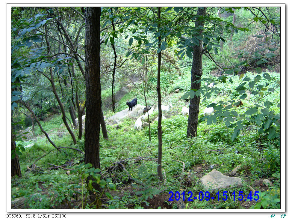 PICT0235.jpg
