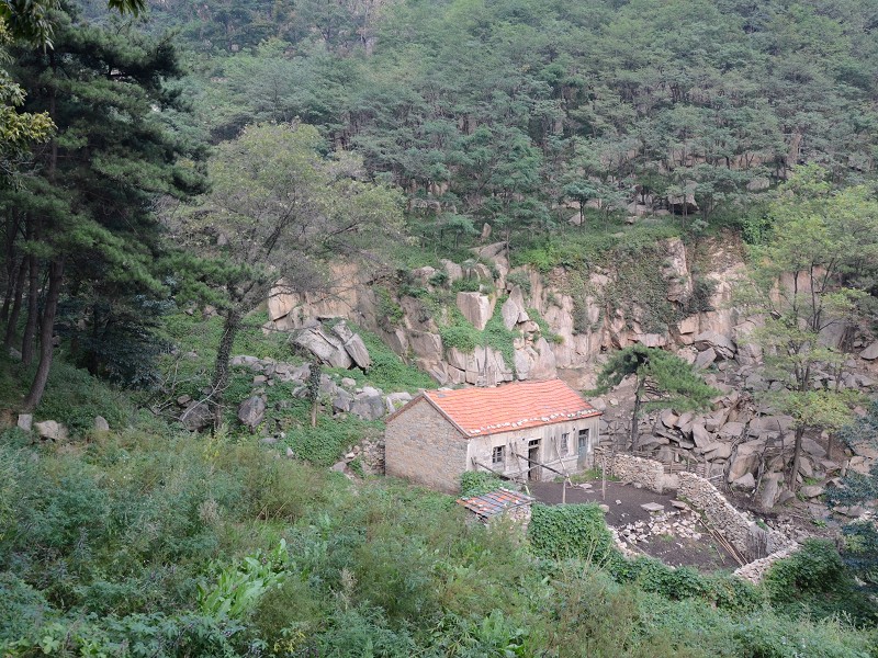 PhotoCap_167.jpg