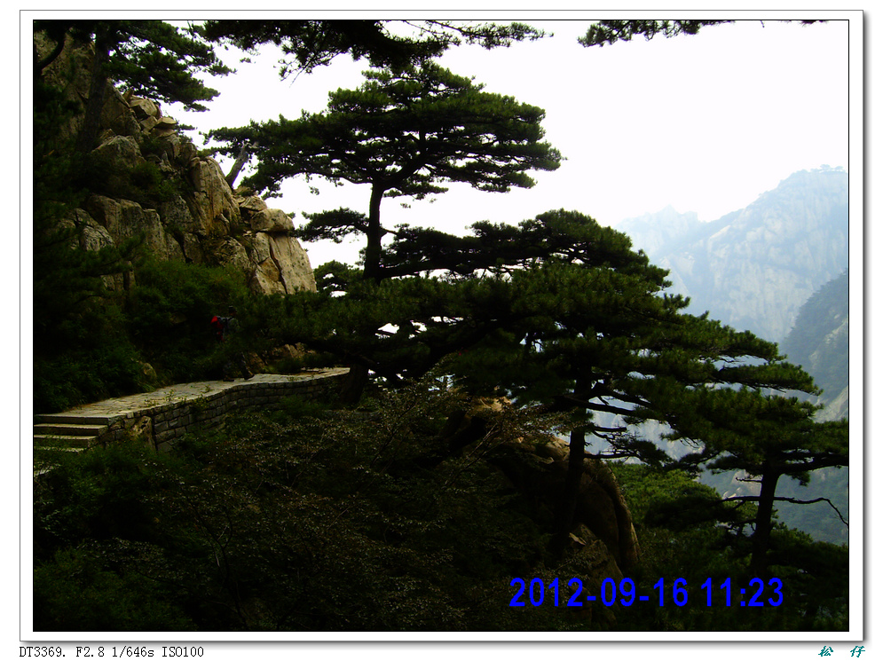PICT0387.jpg