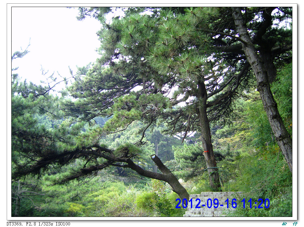 PICT0383.jpg