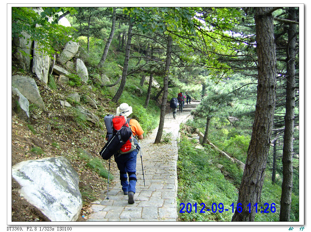 PICT0395.jpg