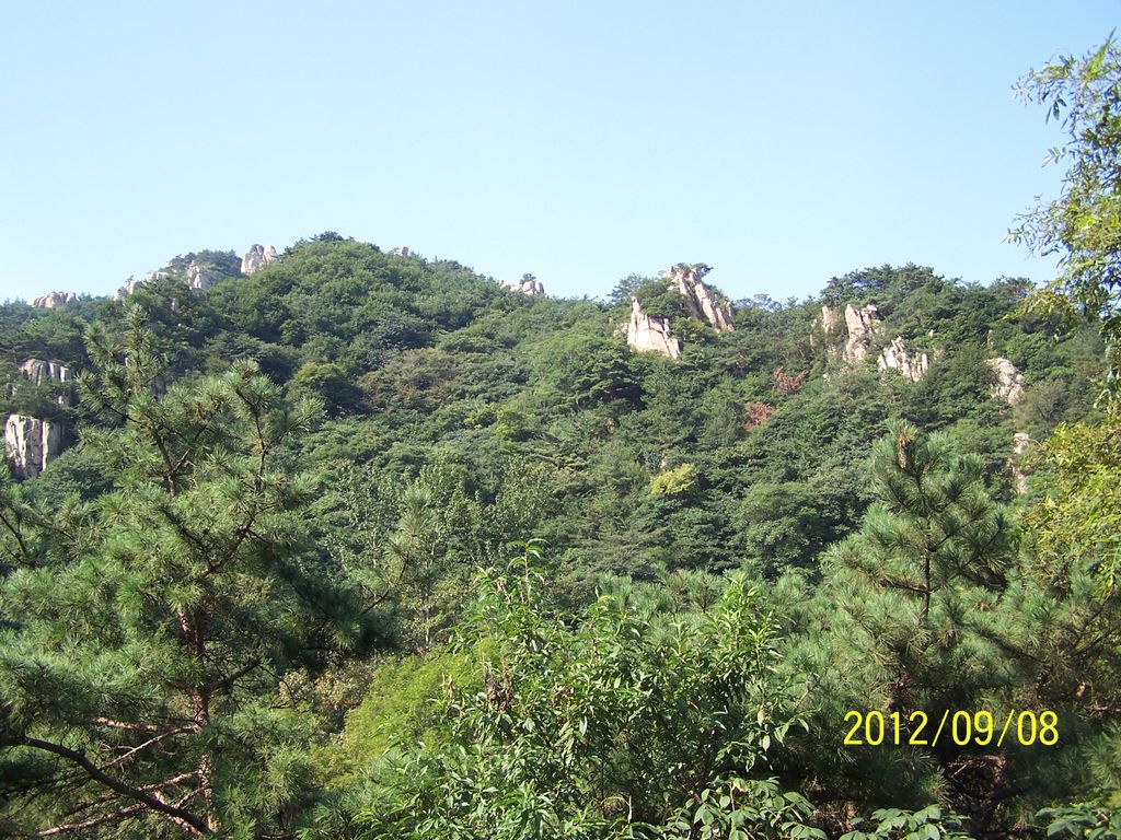 100_7412.jpg