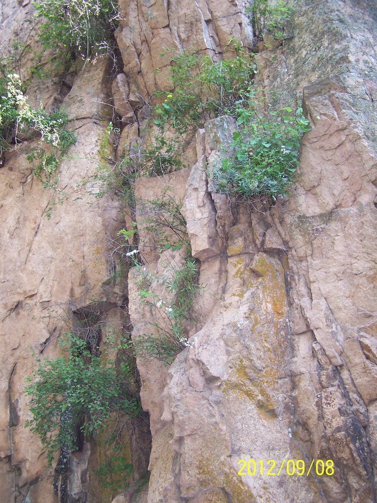 100_7434.jpg