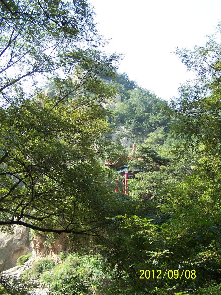 100_7439.jpg