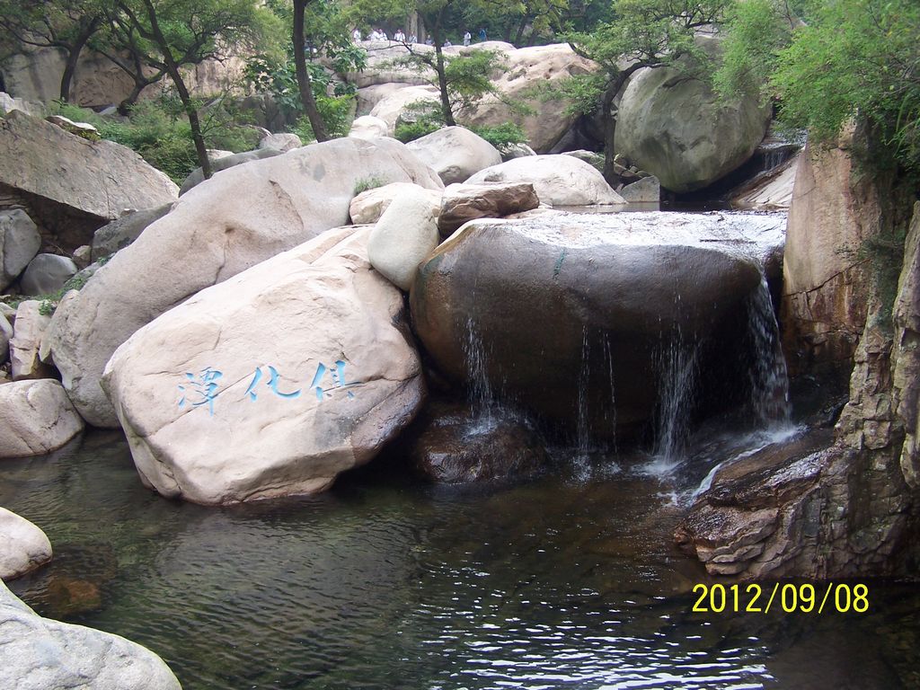000_0051.jpg