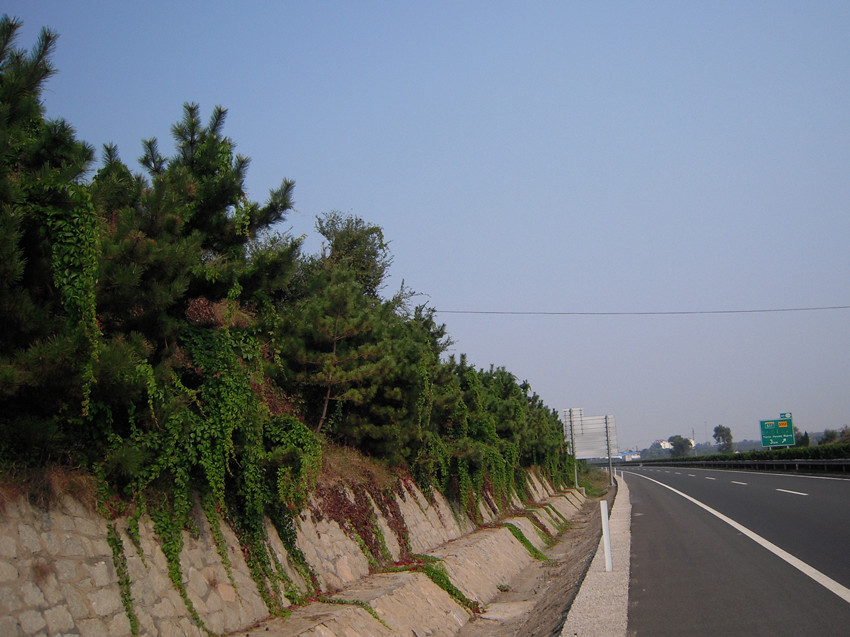 莱山区高速路边.jpg