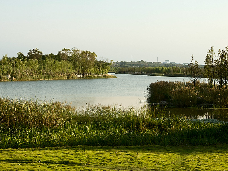 DSC_3576-10--.jpg