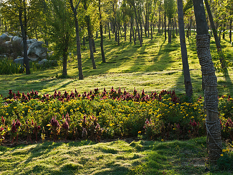 DSC_3600-34--.jpg