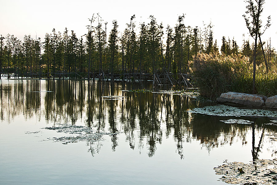 DSC_3650-38--.jpg