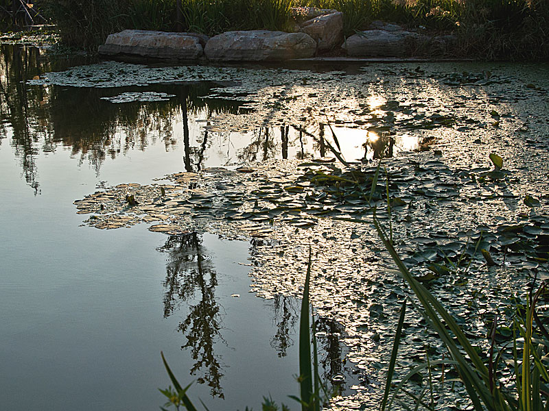 DSC_3652-40--.jpg